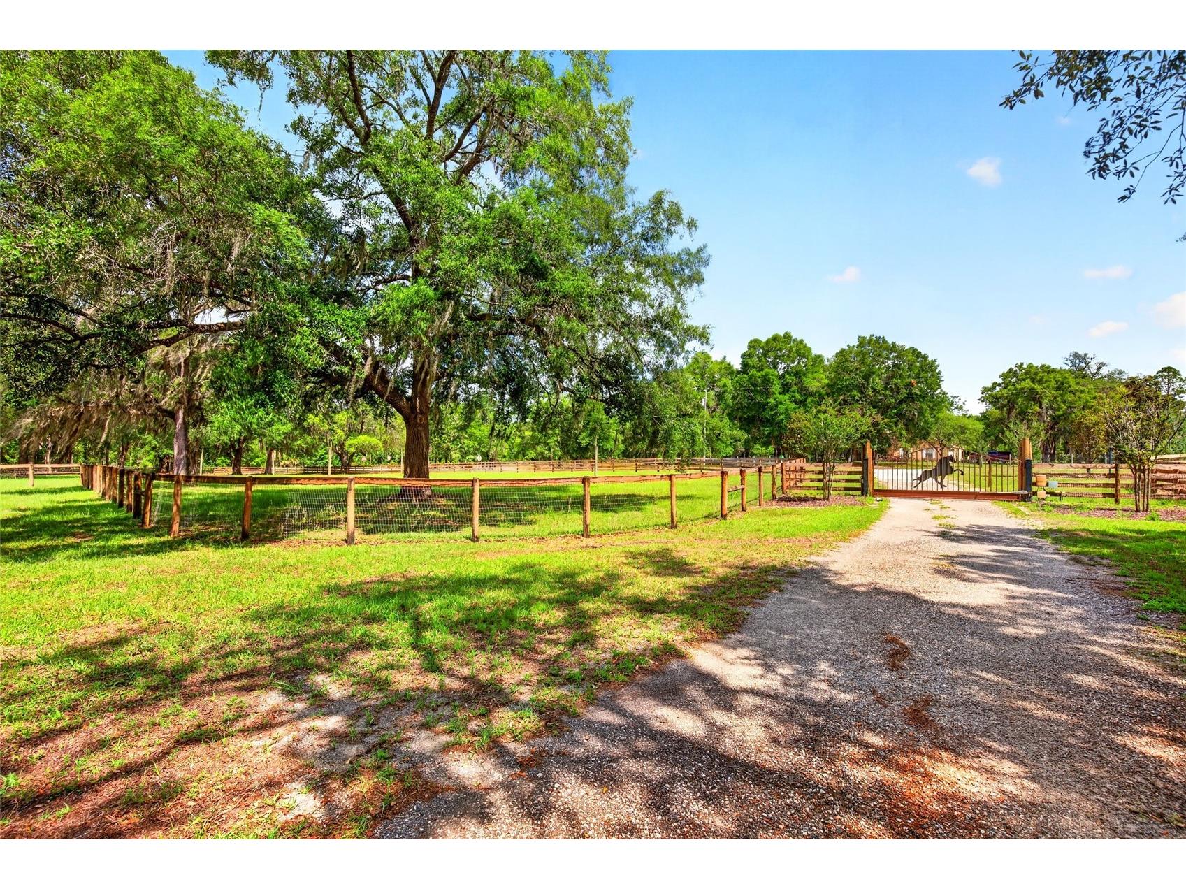 11630 SE 78th Street Morriston FL 32668 O6409029 image5