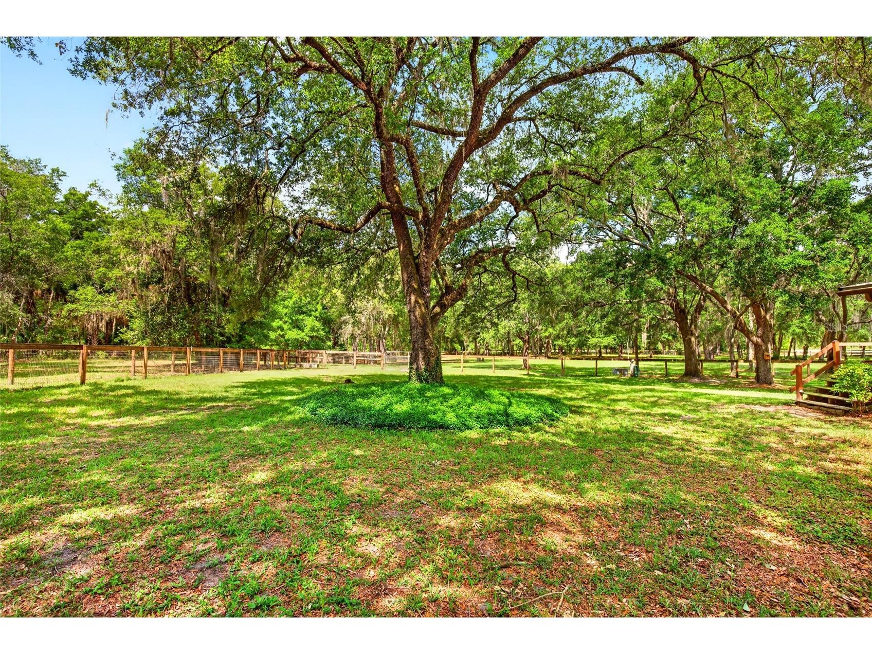 11630 SE 78th Street Morriston FL 32668 O6409029 image51