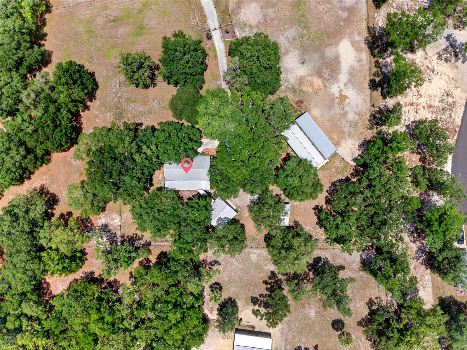 11630 SE 78th Street Morriston FL 32668 O6409029 image68