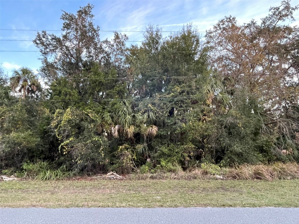 11631 W Timberlane Drive Homosassa FL 34448 G5075848 image1