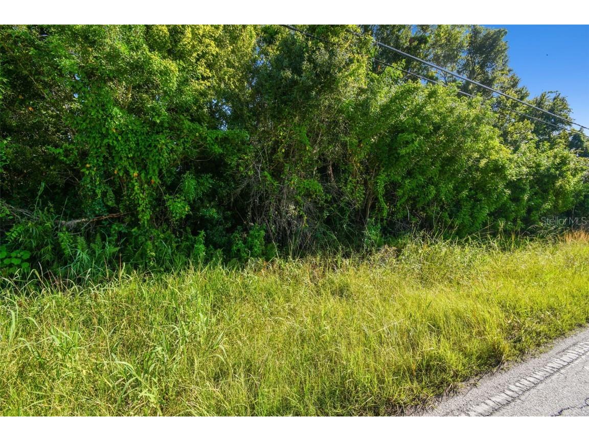 11632 Bill Tucker Road Wimauma FL 33598 - BULLFROG CREEK TB8329439 image17
