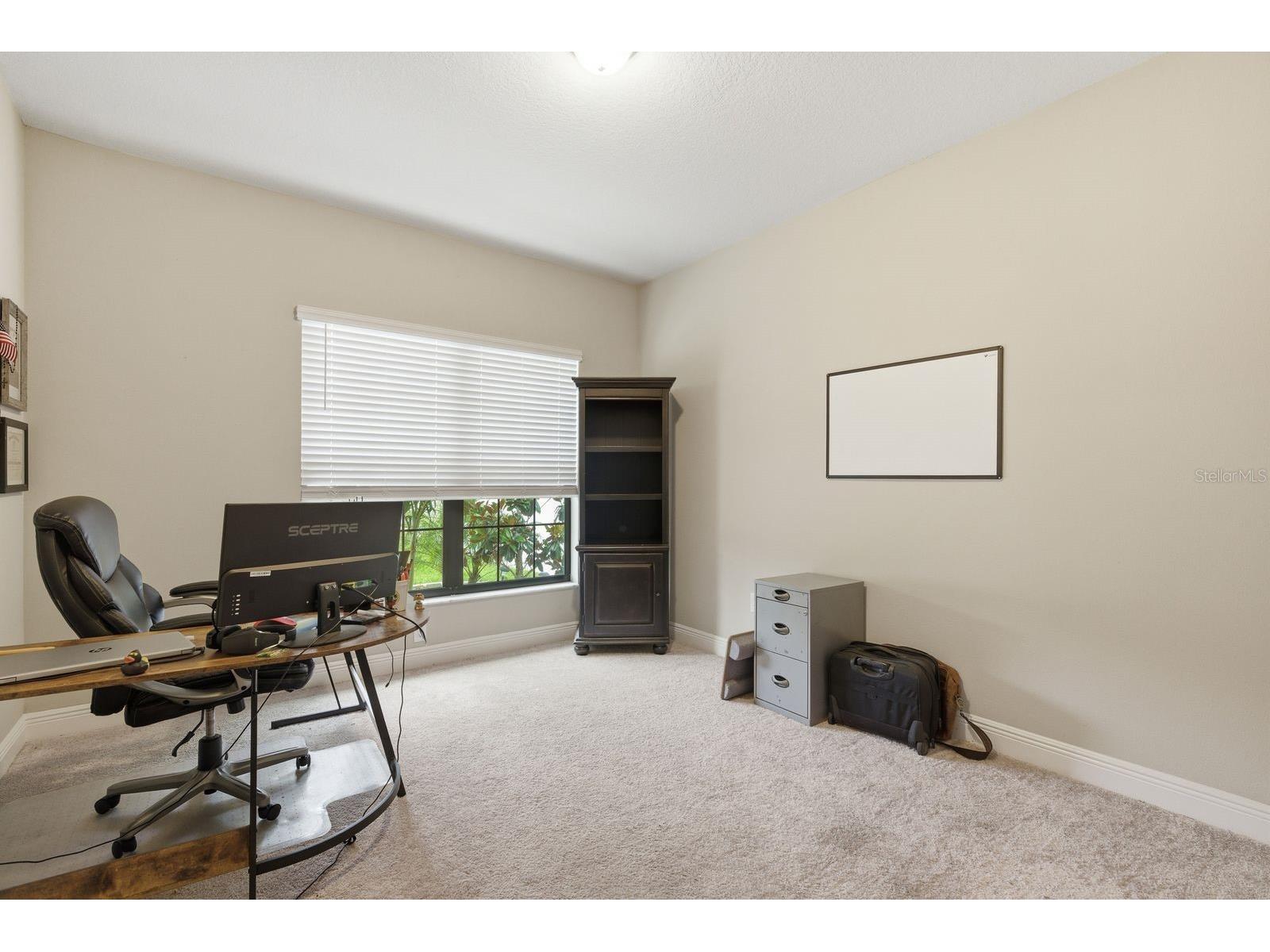 11632 Weaver Hollow Road New Port Richey FL 34654 TB8512774 image13