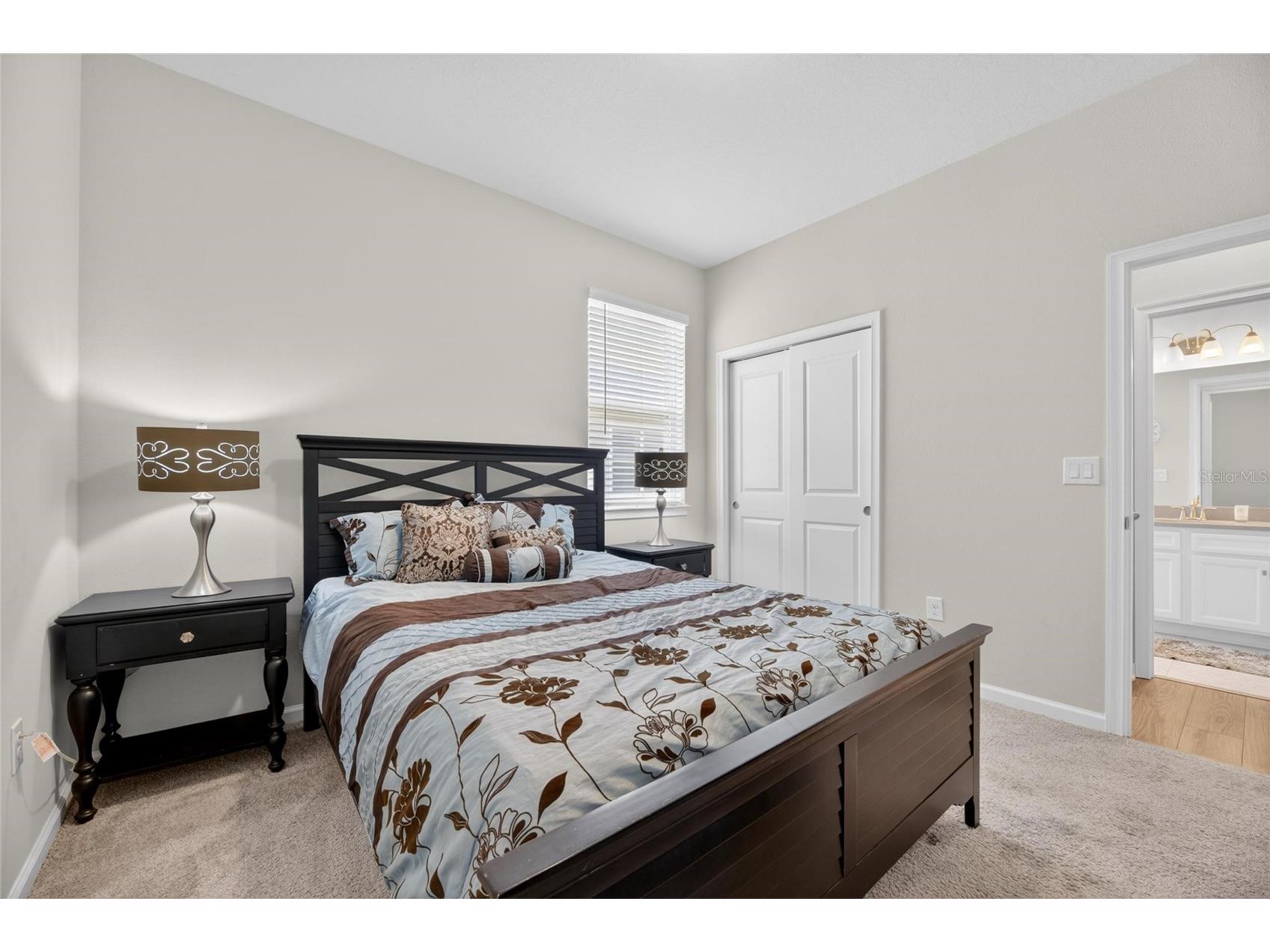 11633 Cambium Crown Drive Riverview FL 33569 TB8503817 image20