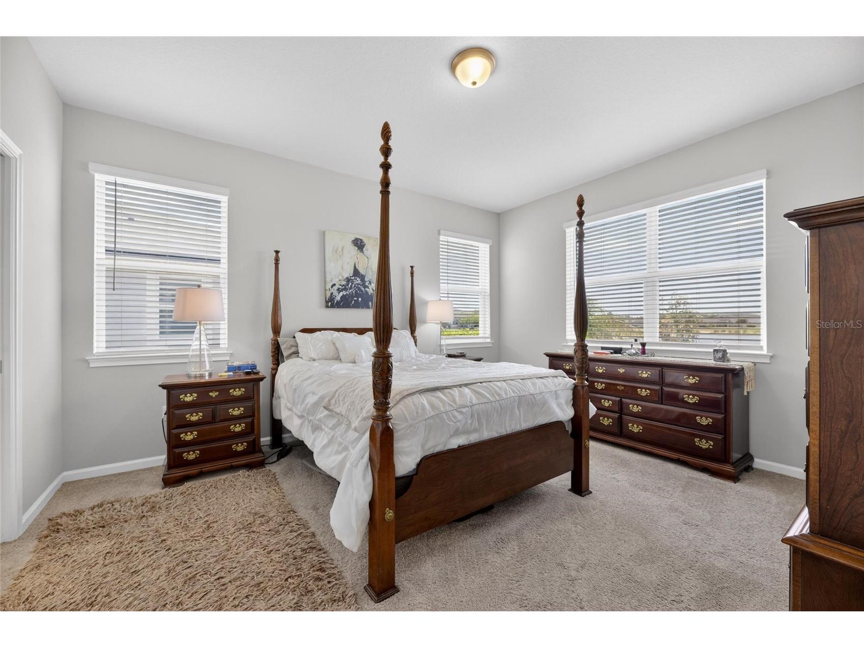 11633 Cambium Crown Drive Riverview FL 33569 TB8503817 image22