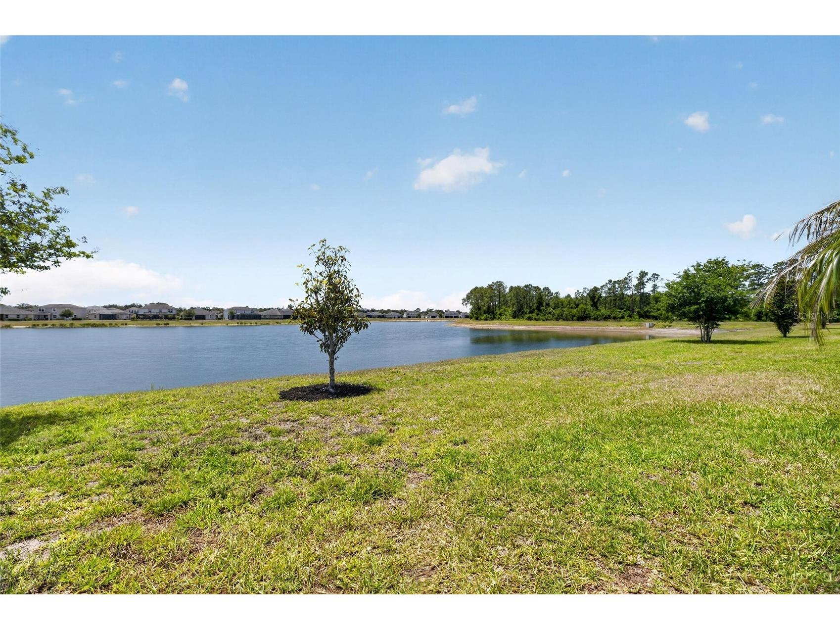 11633 Cambium Crown Drive Riverview FL 33569 TB8503817 image5