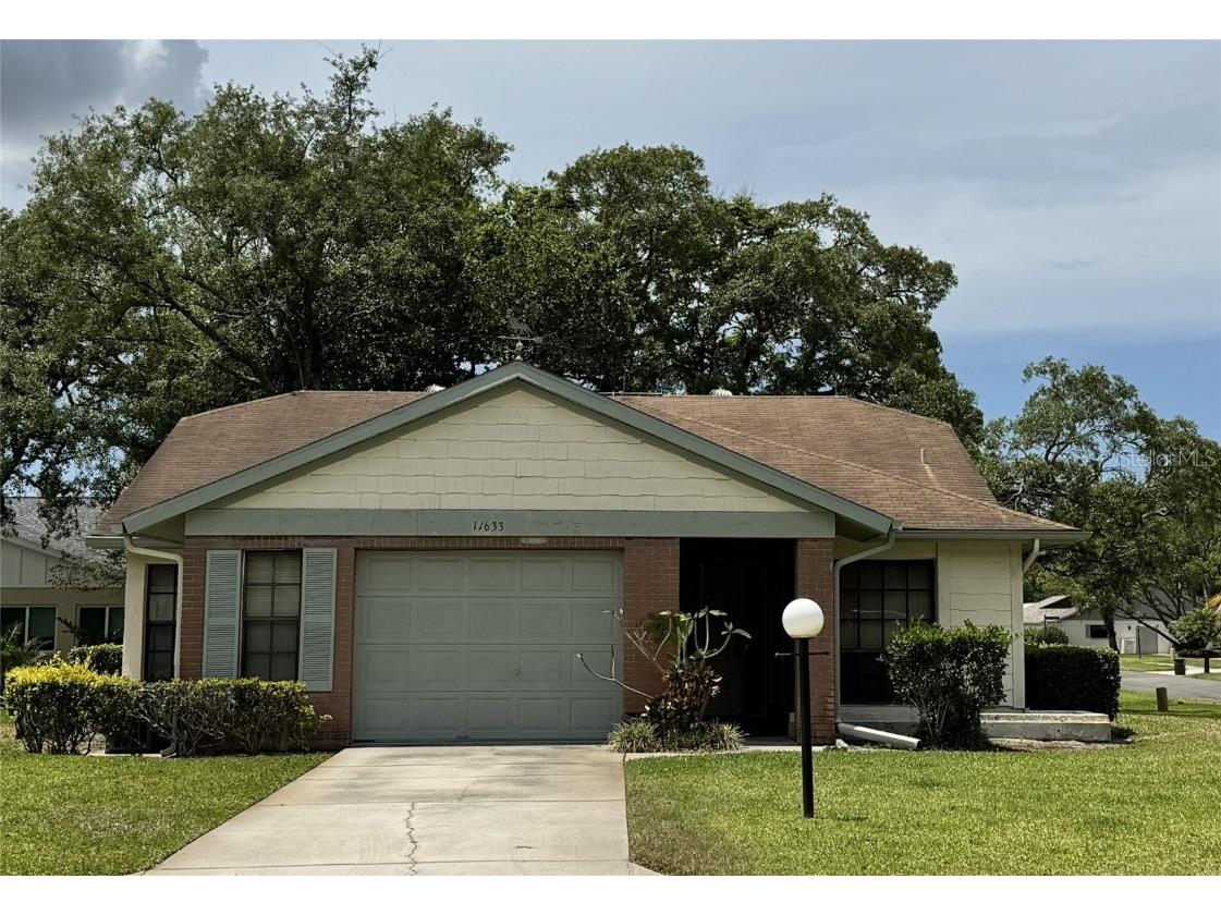 11633 English Elm Drive New Port Richey FL 34654 O6200133 image1