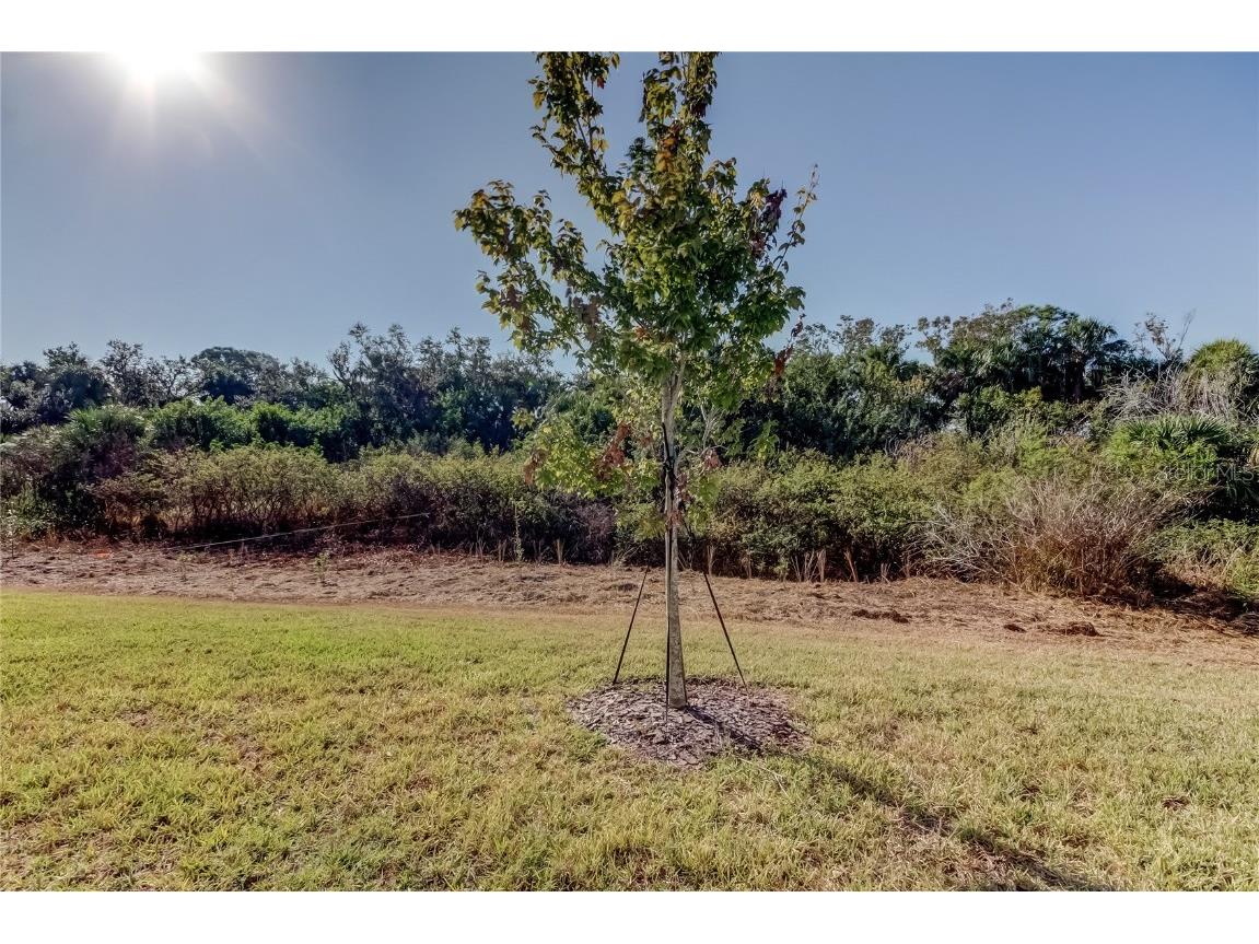 11633 Glenside Terrace Palmetto FL 34221 TB8447151 image49