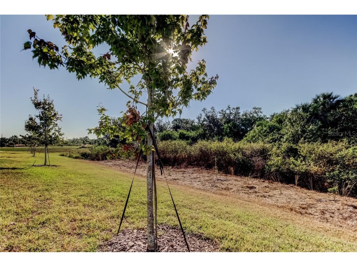 11633 Glenside Terrace Palmetto FL 34221 TB8447151 image50