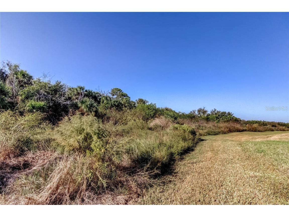 11633 Glenside Terrace Palmetto FL 34221 TB8447151 image53