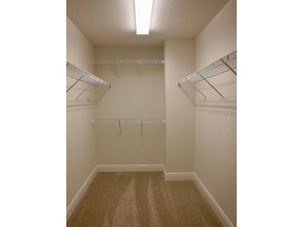 11634 Cambium Crown Drive Riverview FL 33569 A4677037 image10