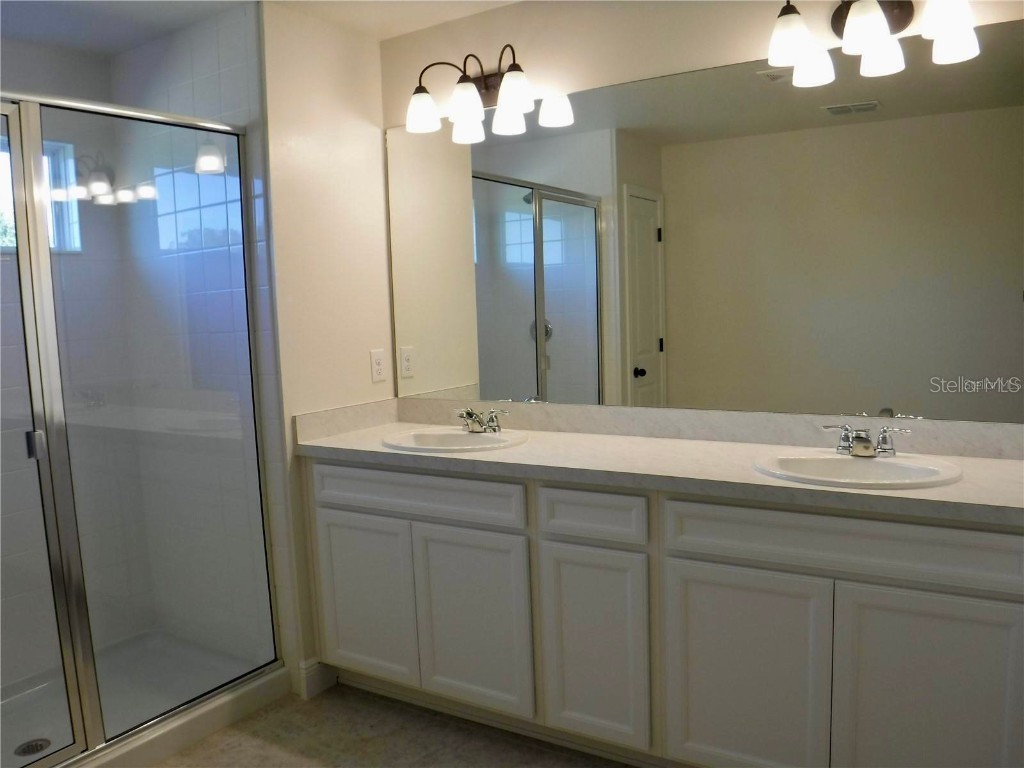 11634 Cambium Crown Drive Riverview FL 33569 A4677037 image12