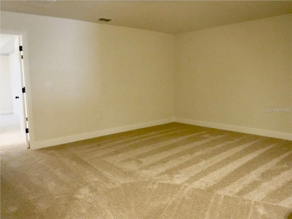 11634 Cambium Crown Drive Riverview FL 33569 A4677037 image13