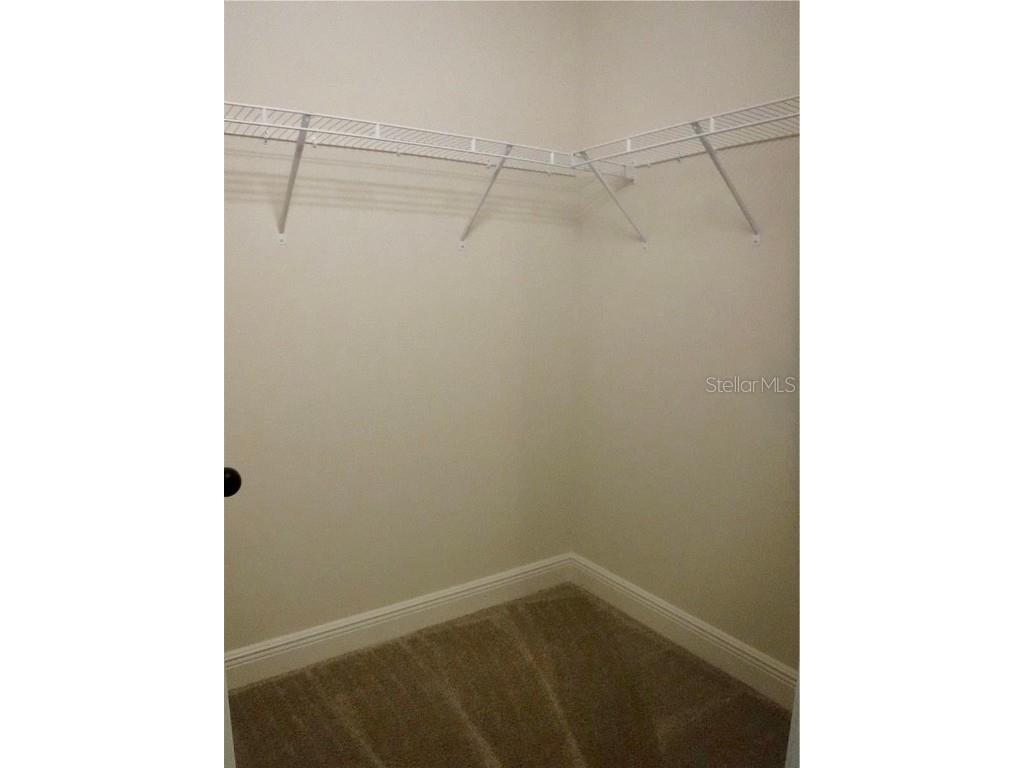 11634 Cambium Crown Drive Riverview FL 33569 A4677037 image14