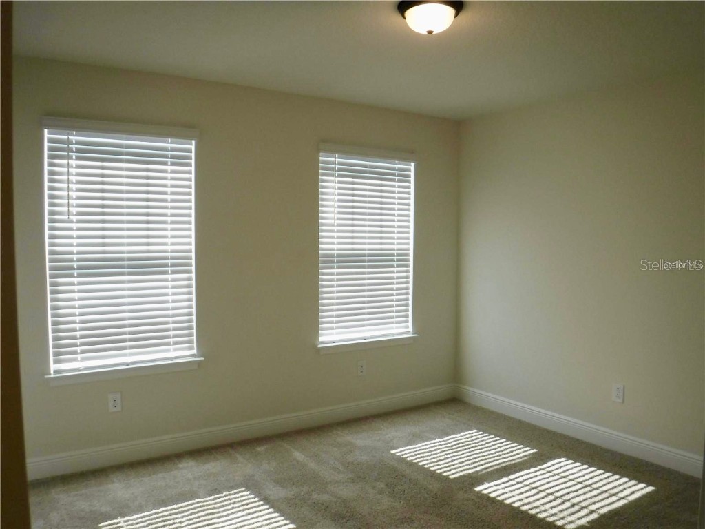 11634 Cambium Crown Drive Riverview FL 33569 A4677037 image15