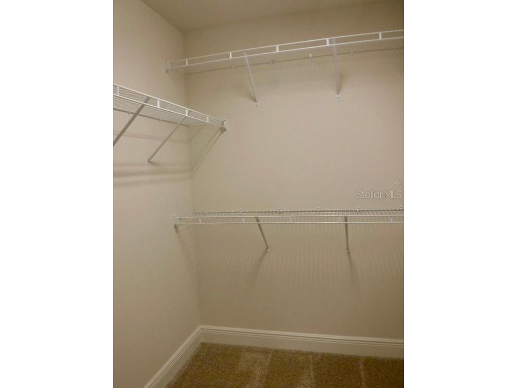 11634 Cambium Crown Drive Riverview FL 33569 A4677037 image18