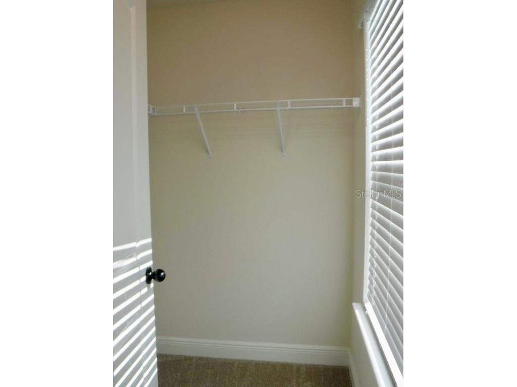 11634 Cambium Crown Drive Riverview FL 33569 A4677037 image19