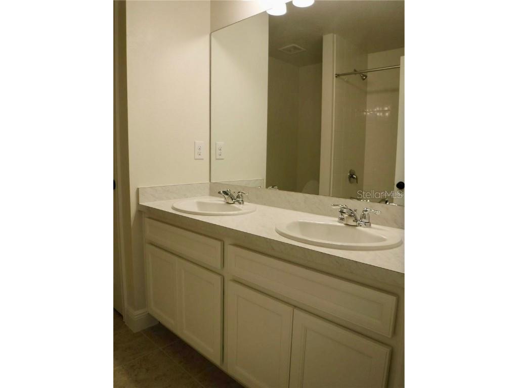 11634 Cambium Crown Drive Riverview FL 33569 A4677037 image20