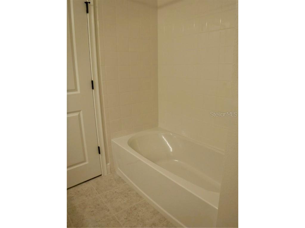 11634 Cambium Crown Drive Riverview FL 33569 A4677037 image21