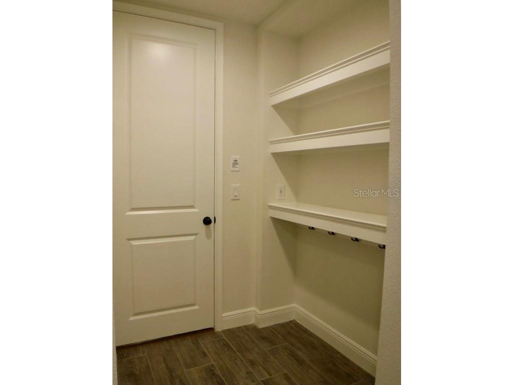 11634 Cambium Crown Drive Riverview FL 33569 A4677037 image23