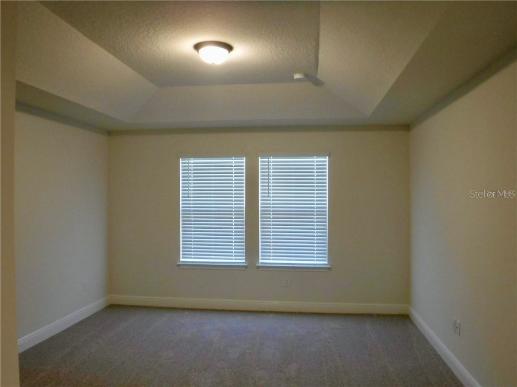 11634 Cambium Crown Drive Riverview FL 33569 A4677037 image9