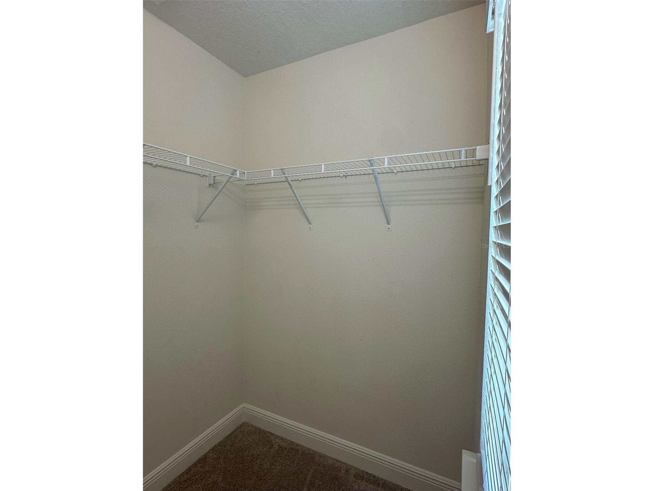11634 Cambium Crown Drive Riverview FL 33569 A4696109 image10