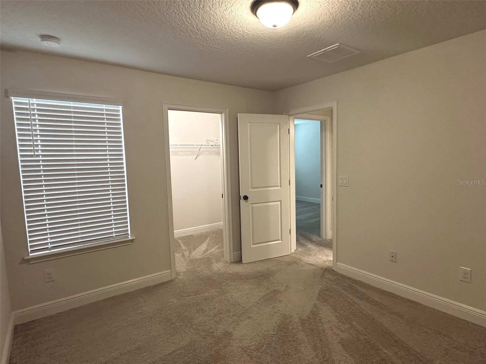 11634 Cambium Crown Drive Riverview FL 33569 A4696109 image13