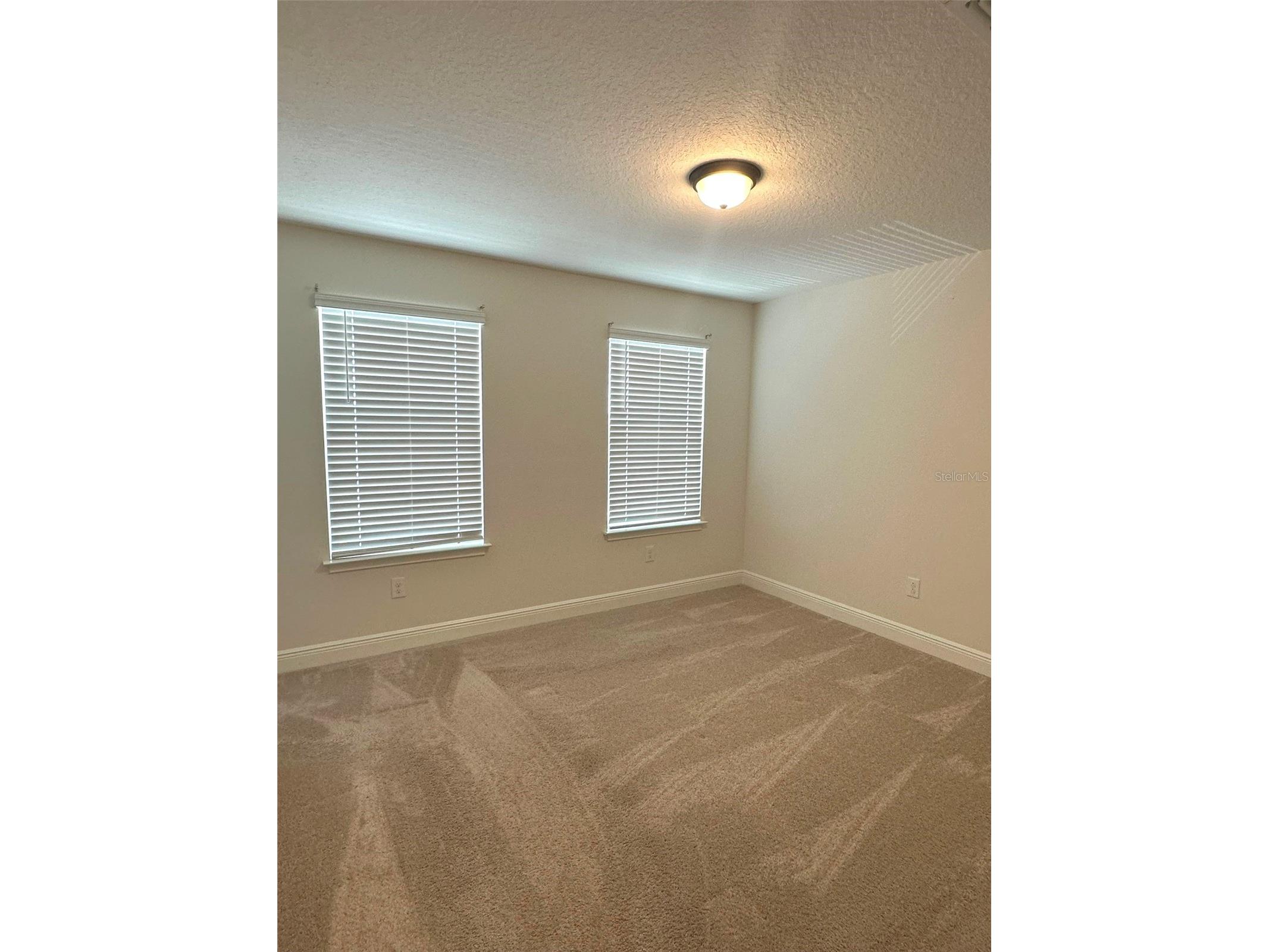 11634 Cambium Crown Drive Riverview FL 33569 A4696109 image14