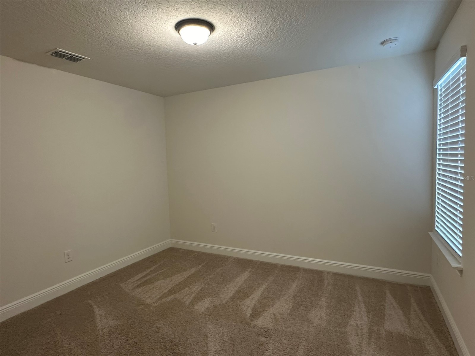 11634 Cambium Crown Drive Riverview FL 33569 A4696109 image15