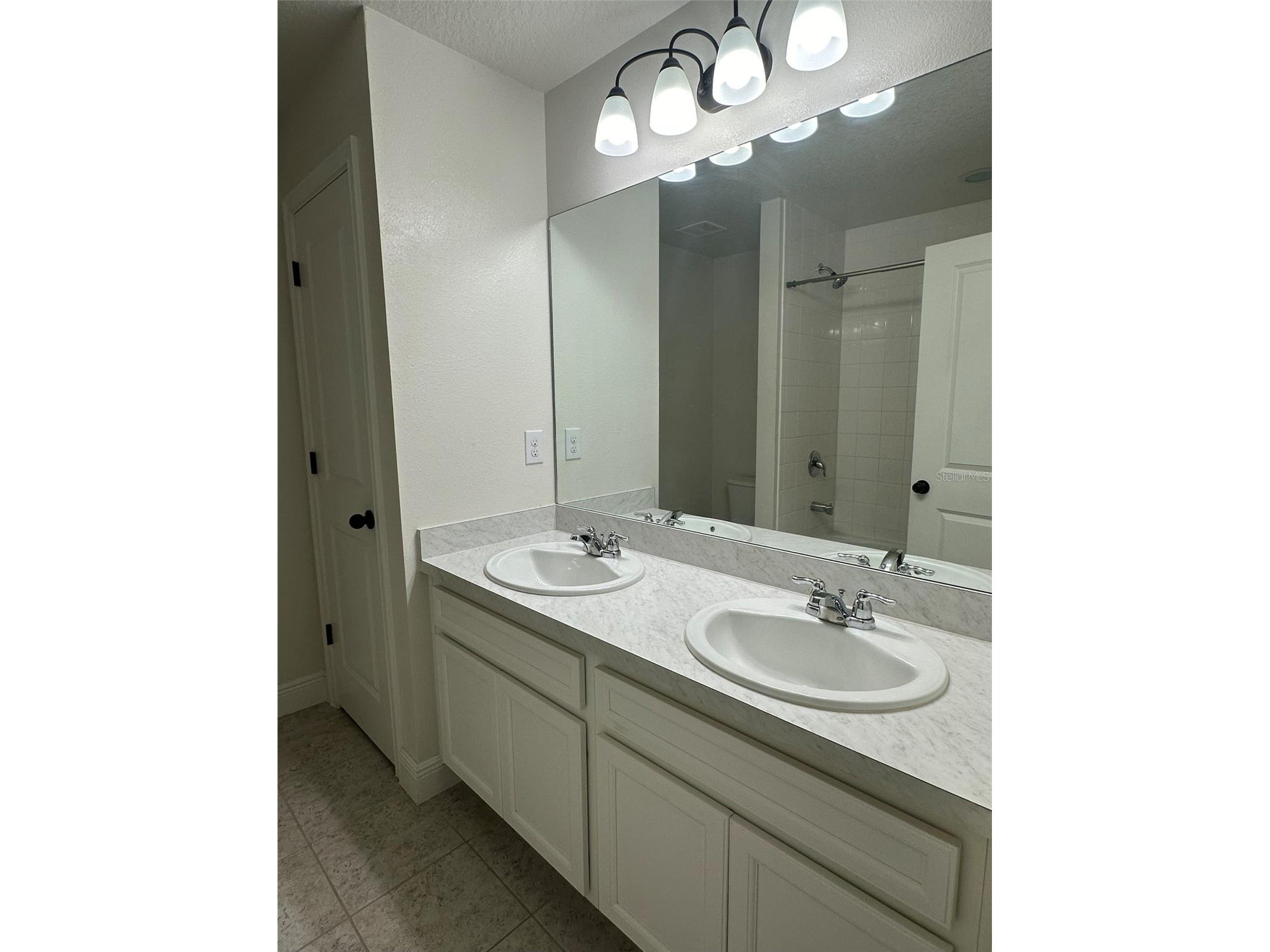 11634 Cambium Crown Drive Riverview FL 33569 A4696109 image16