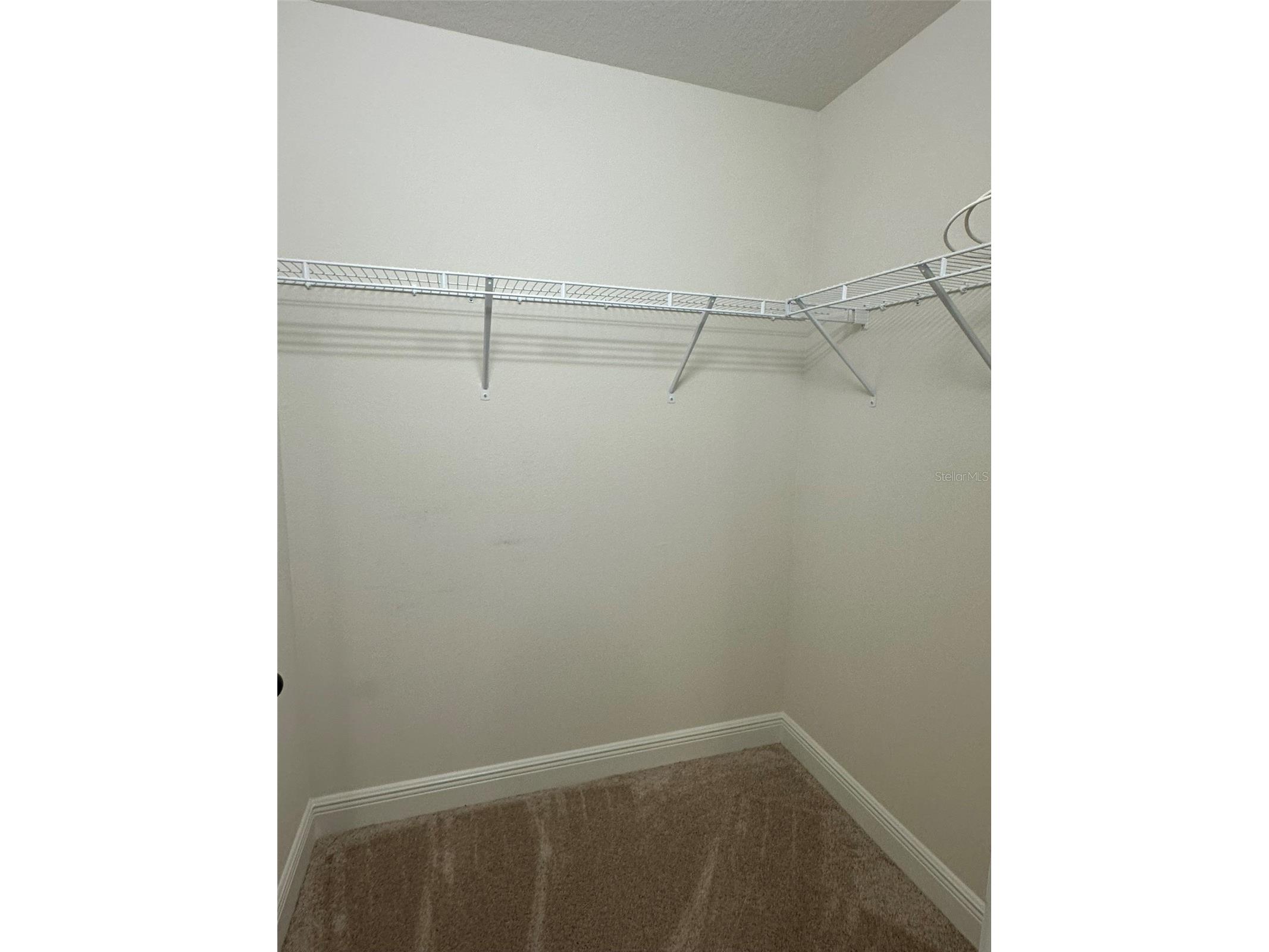 11634 Cambium Crown Drive Riverview FL 33569 A4696109 image17