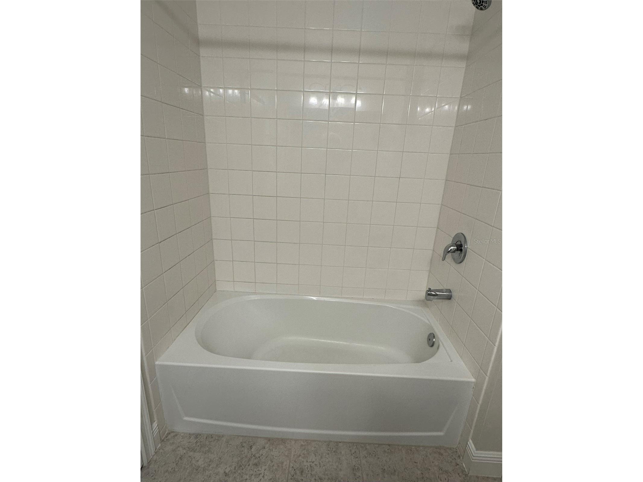 11634 Cambium Crown Drive Riverview FL 33569 A4696109 image18