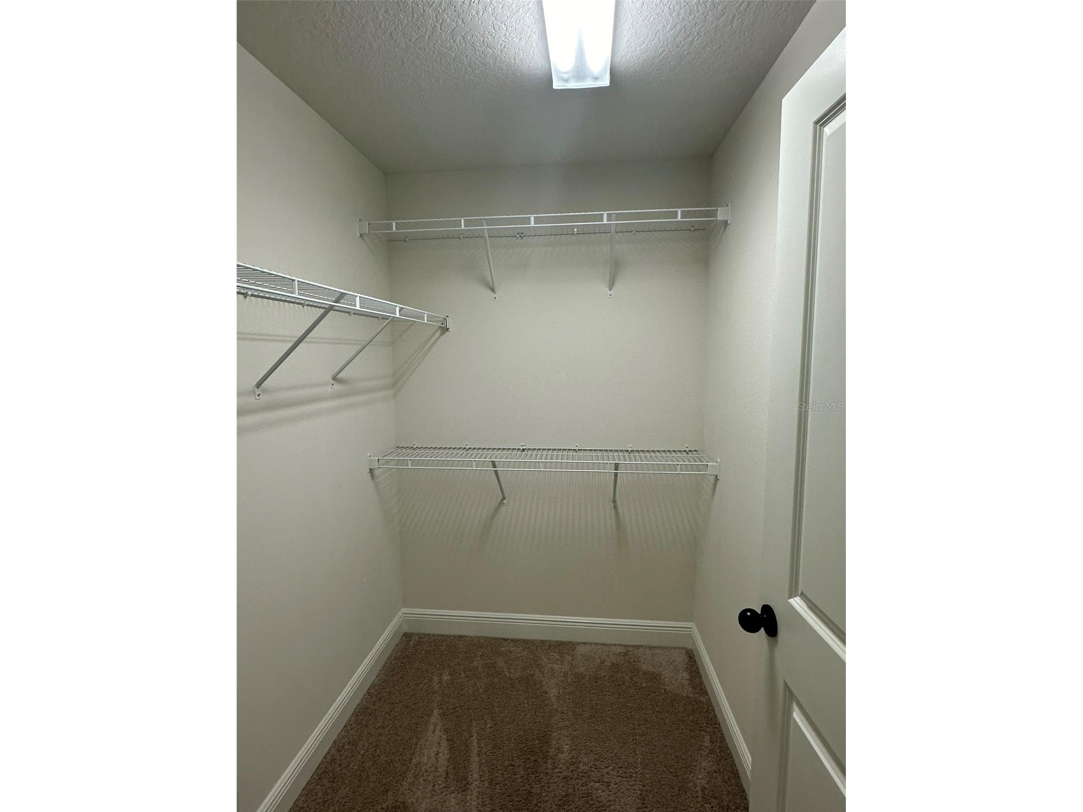 11634 Cambium Crown Drive Riverview FL 33569 A4696109 image19