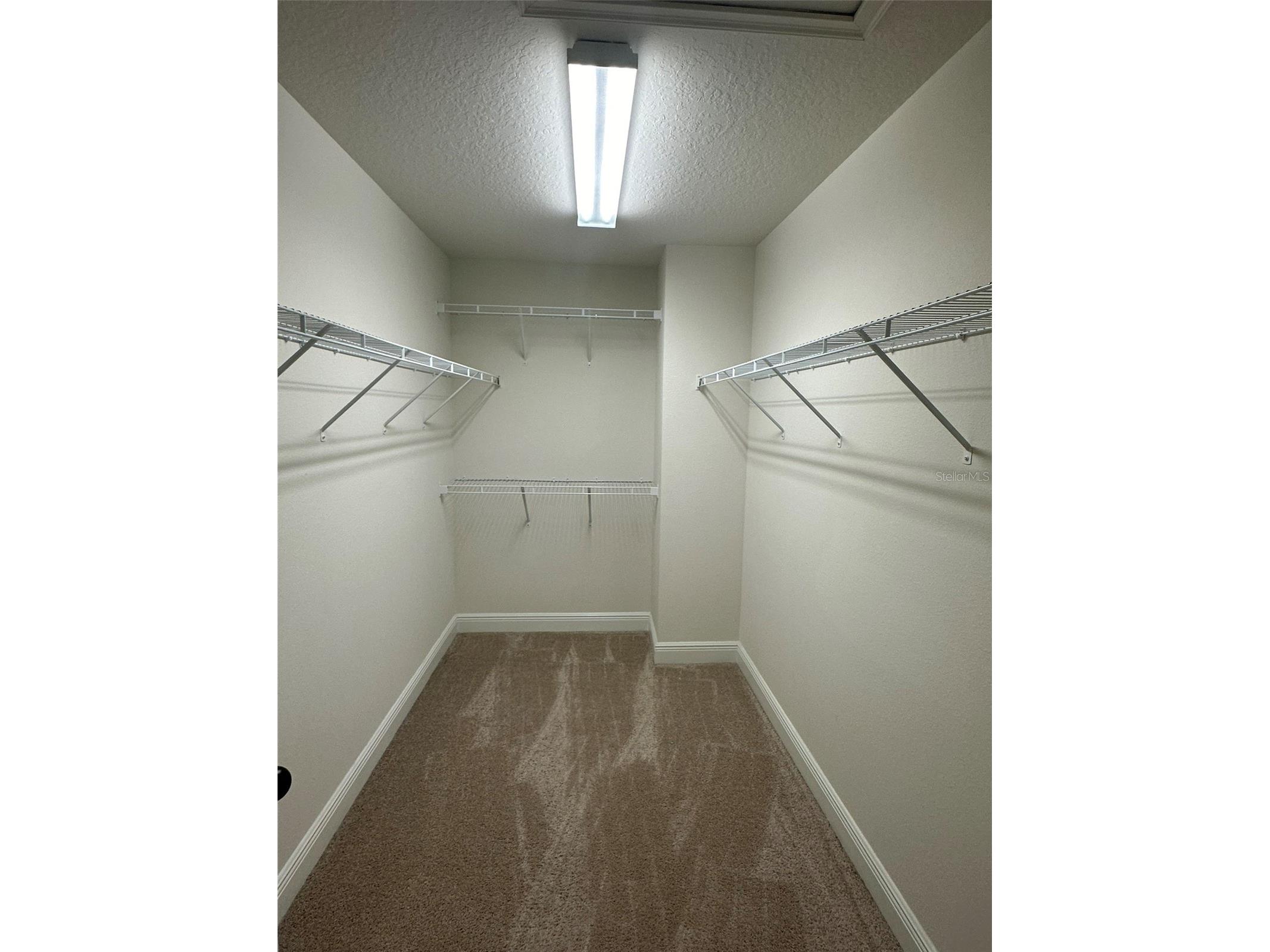 11634 Cambium Crown Drive Riverview FL 33569 A4696109 image20
