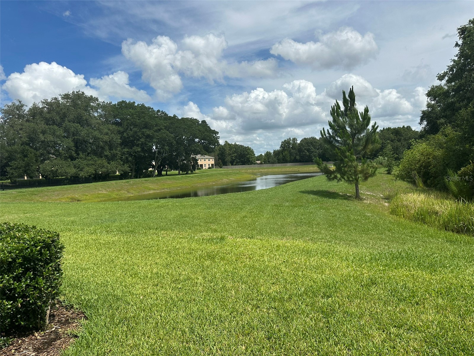 11634 Cambium Crown Drive Riverview FL 33569 A4696109 image27