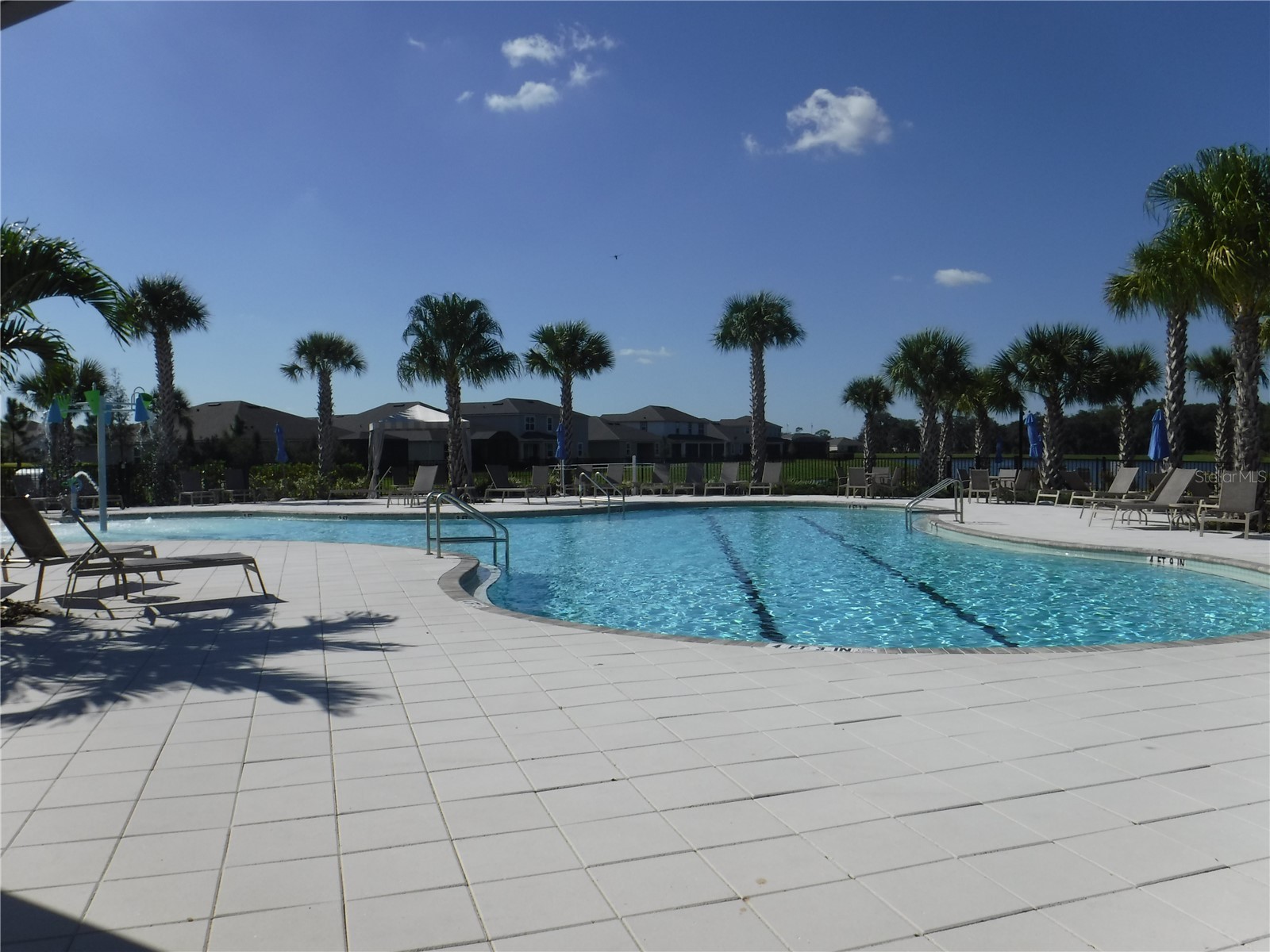 11634 Cambium Crown Drive Riverview FL 33569 A4696109 image28