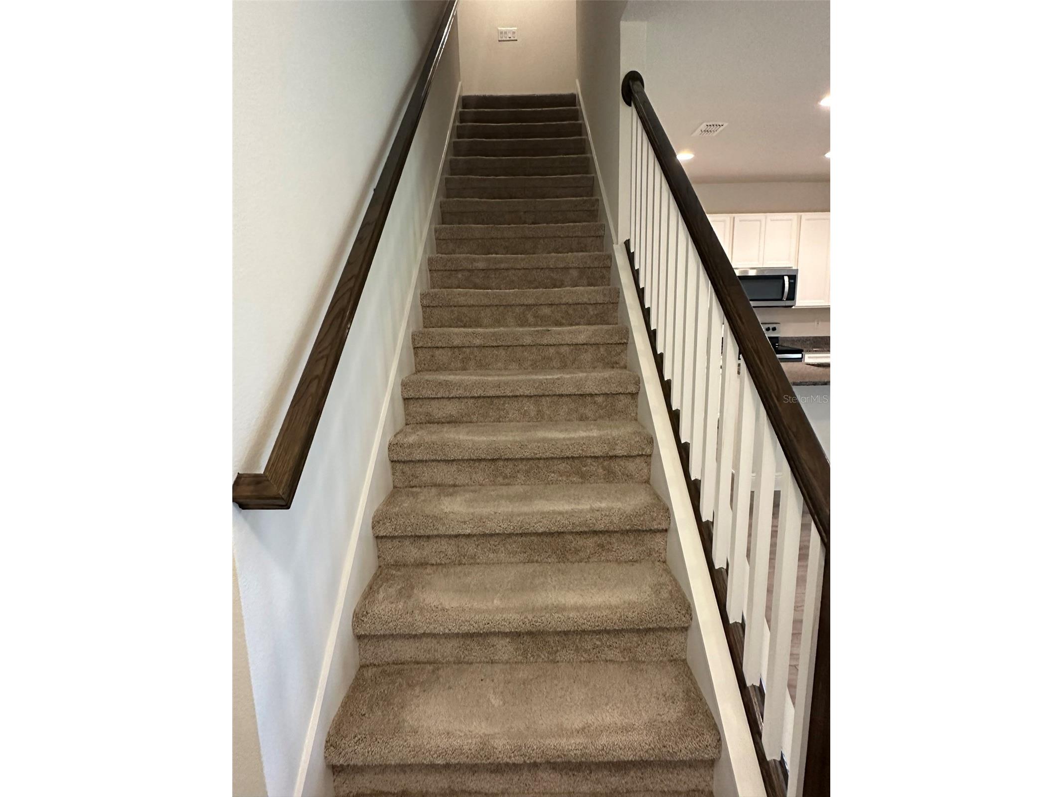 11634 Cambium Crown Drive Riverview FL 33569 A4696109 image5