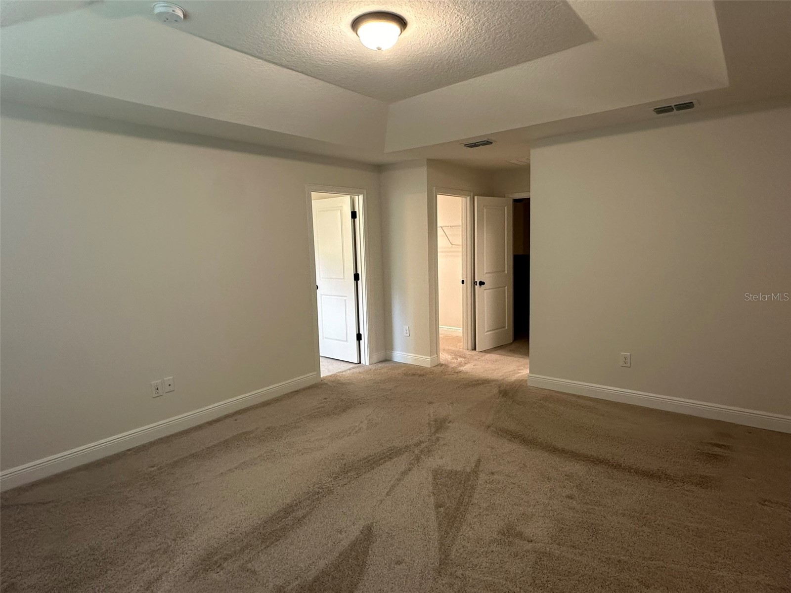 11634 Cambium Crown Drive Riverview FL 33569 A4696109 image6