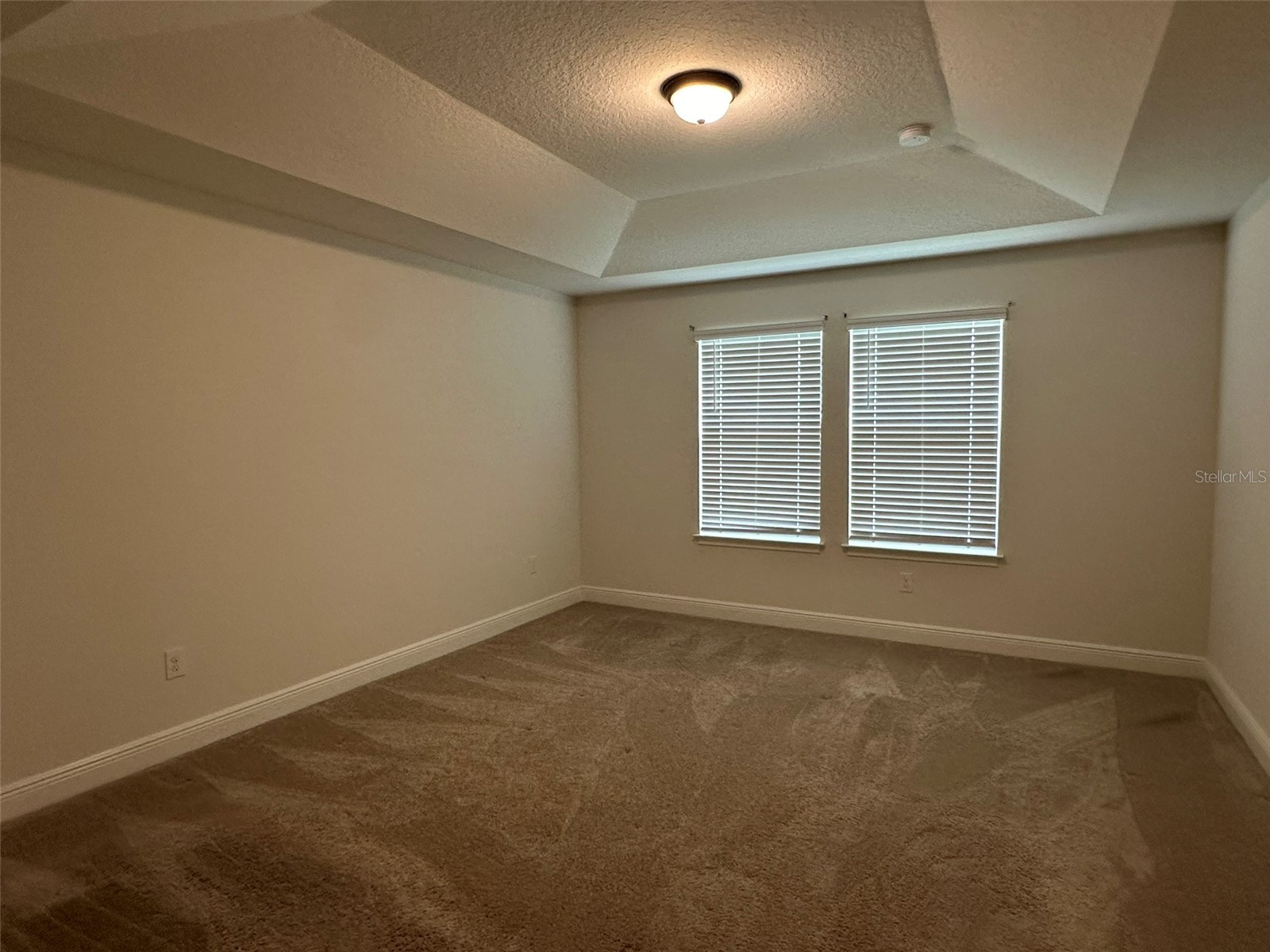 11634 Cambium Crown Drive Riverview FL 33569 A4696109 image7