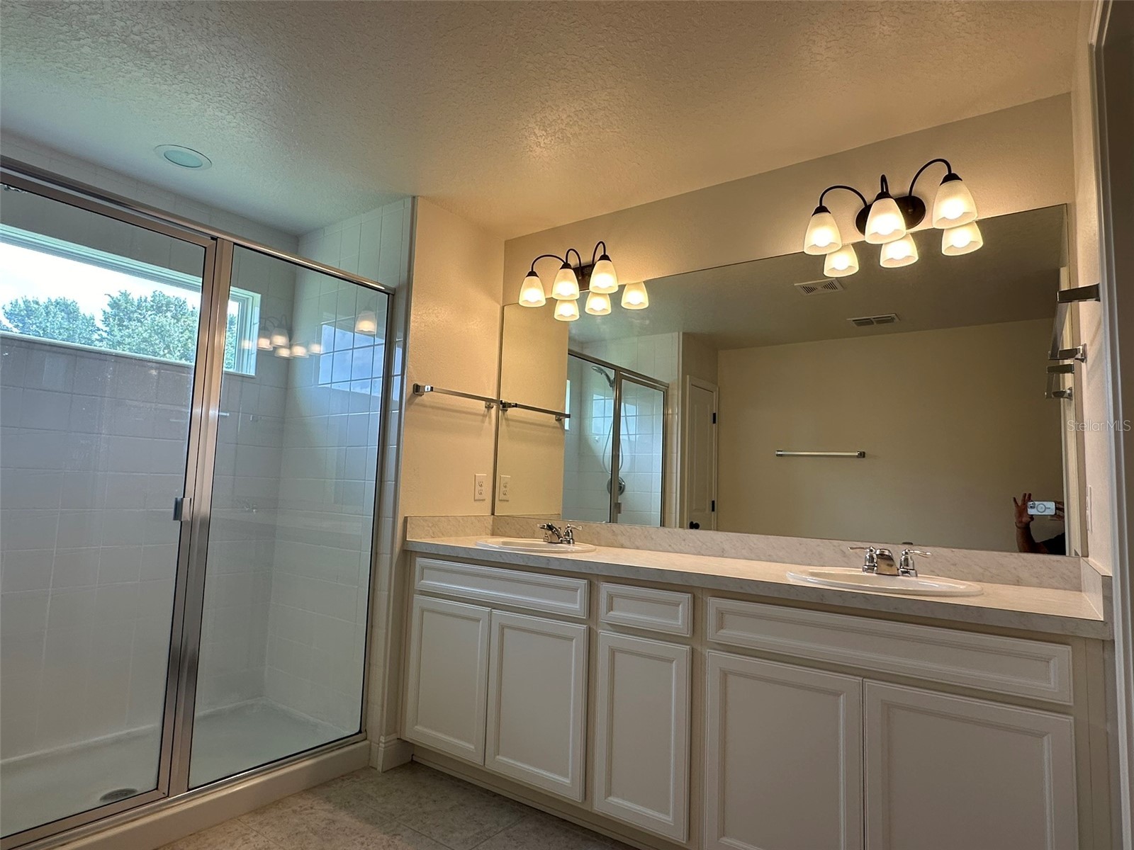 11634 Cambium Crown Drive Riverview FL 33569 A4696109 image9