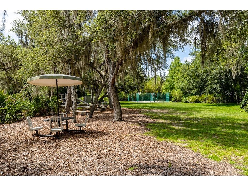 11634 Nellie Oaks Bend Clermont FL 34711 O6420717 image28