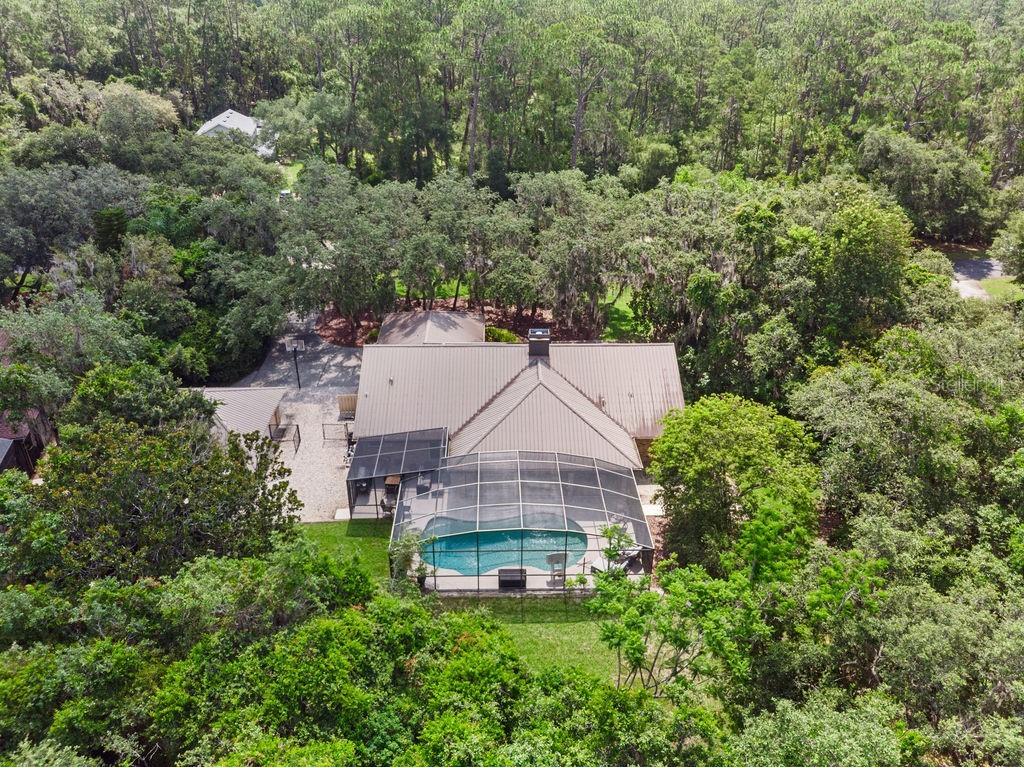 11634 Nellie Oaks Bend Clermont FL 34711 O6420717 image33