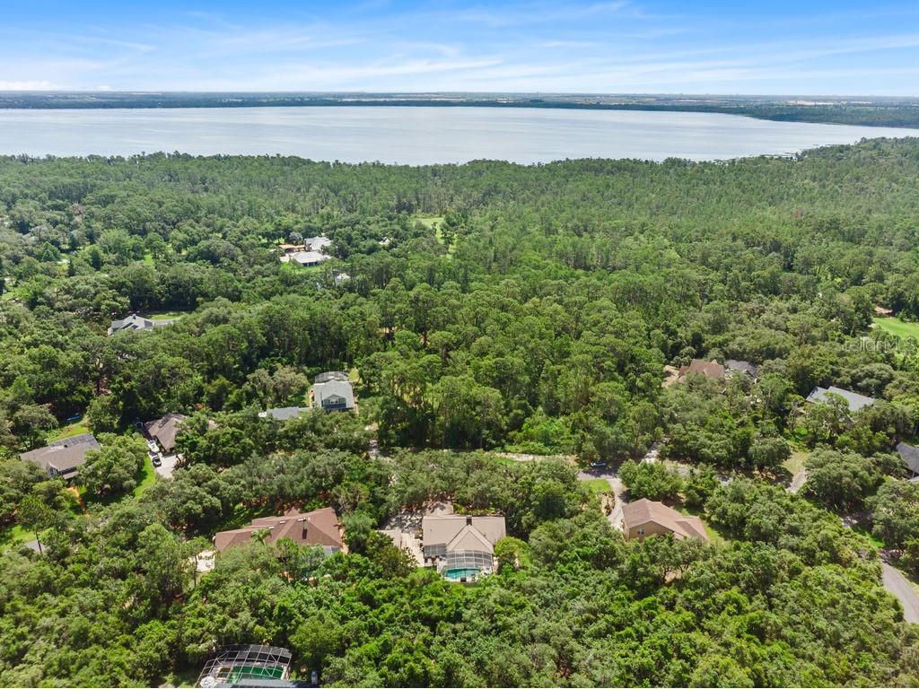 11634 Nellie Oaks Bend Clermont FL 34711 O6420717 image36