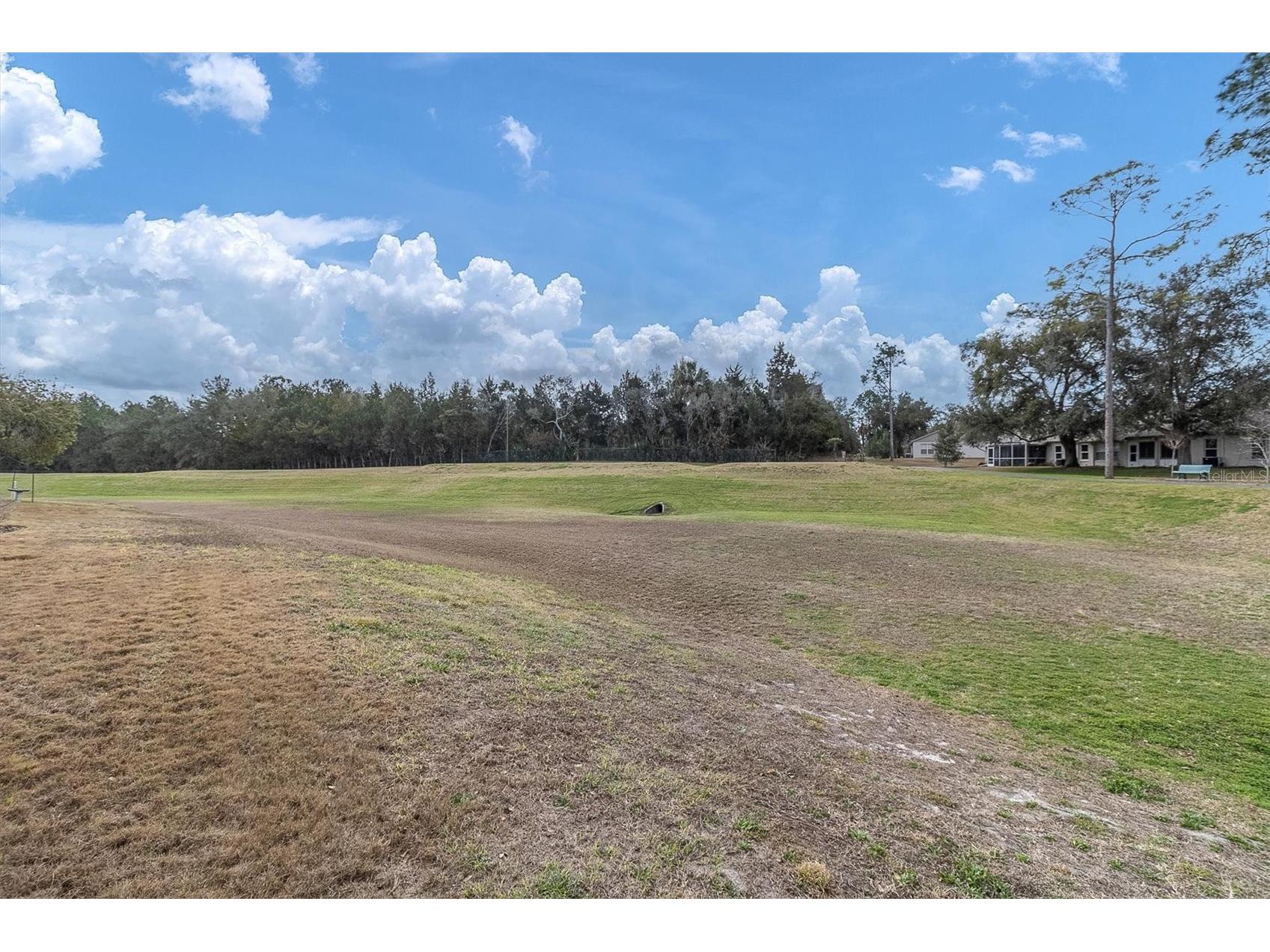 11634 Wheatfield Loop Hudson FL 34667 W7883237 image36