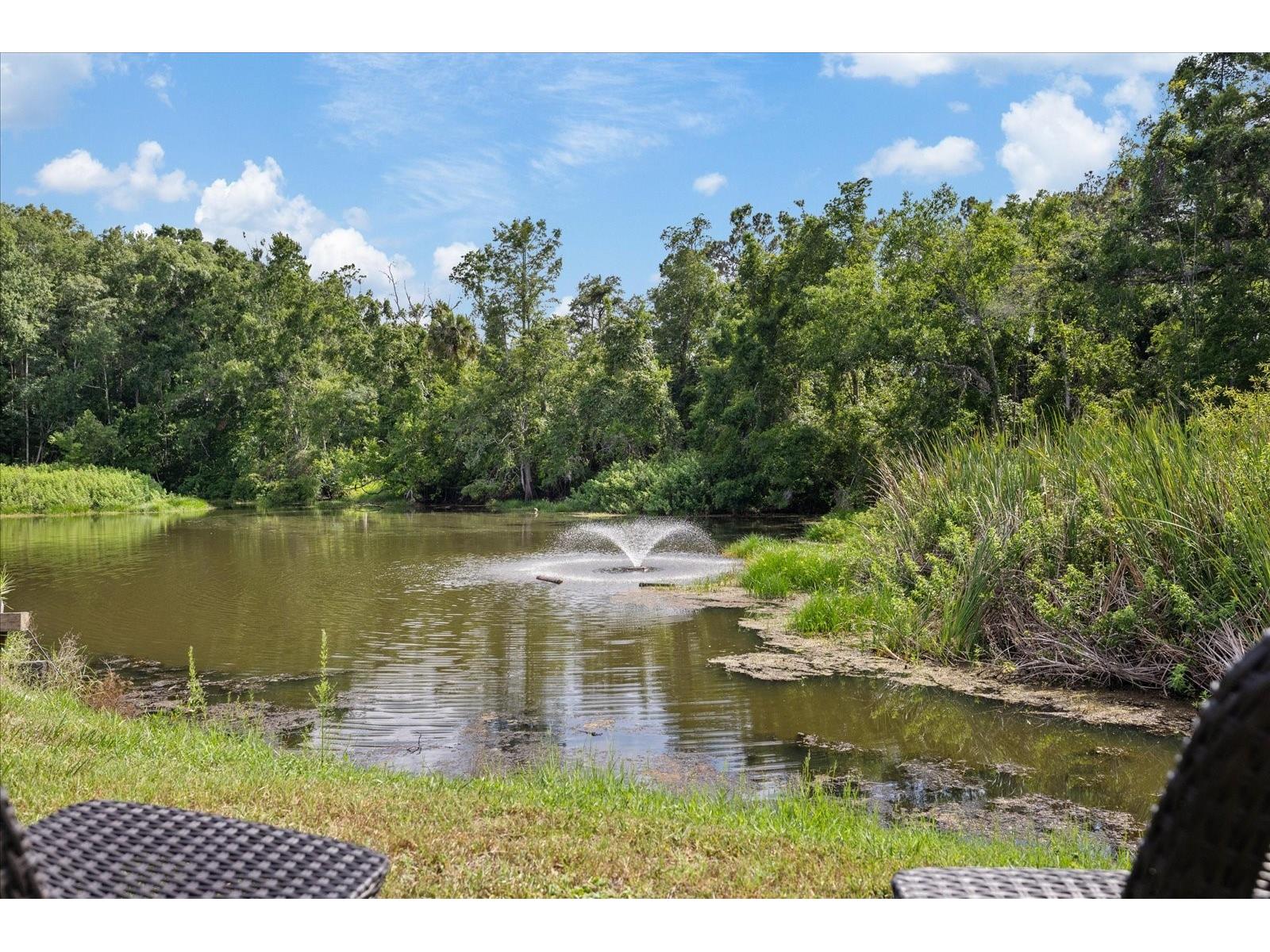 11635 Bayonet Lane #B New Port Richey FL 34654 W7886744 image26
