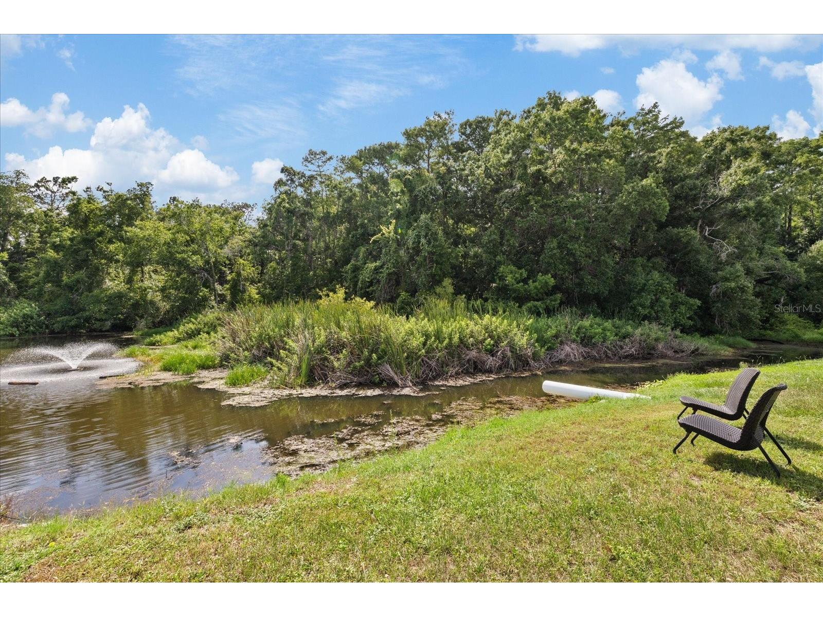 11635 Bayonet Lane #B New Port Richey FL 34654 W7886744 image27
