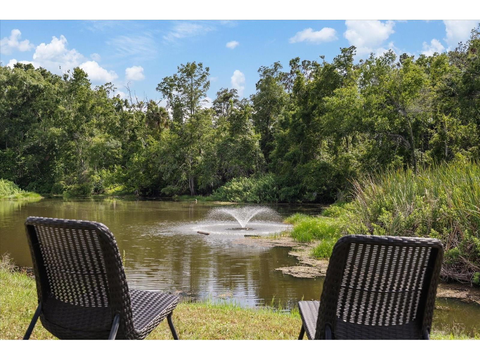 11635 Bayonet Lane #B New Port Richey FL 34654 W7886744 image6