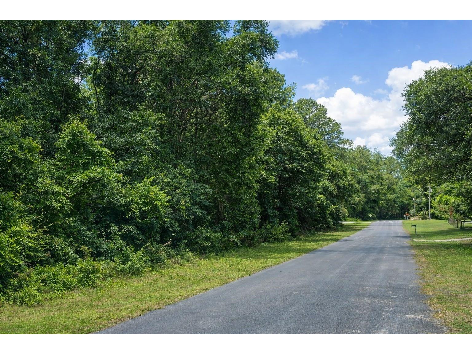 11635 N Kenlake Circle Citrus Springs FL 34434 O6384108 image1