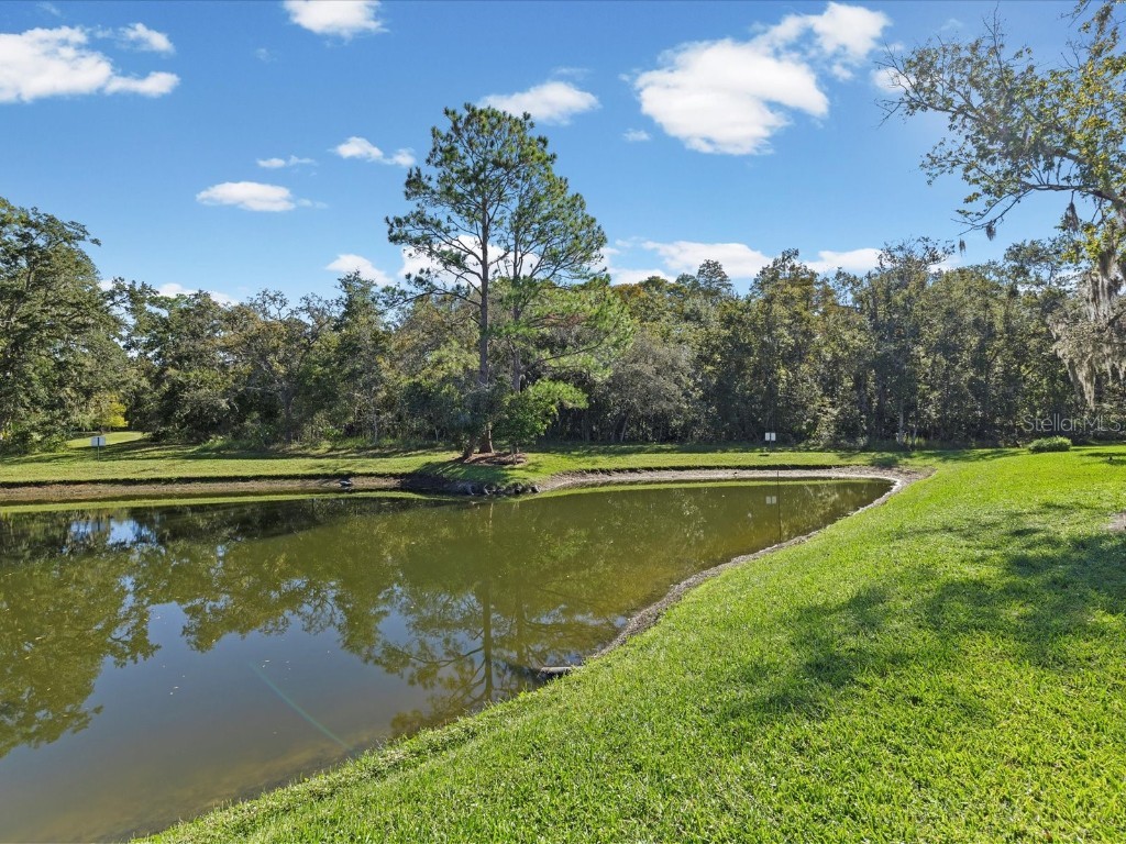 11636 Aspenwood Drive New Port Richey FL 34654 W7880208 image2