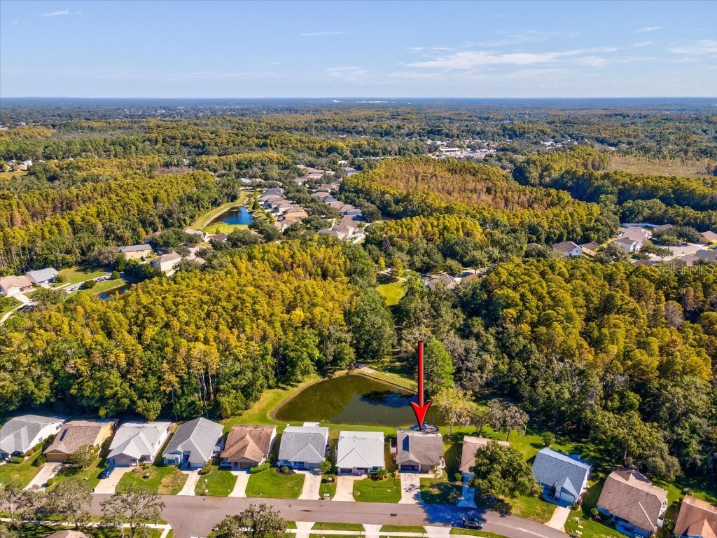 11636 Aspenwood Drive New Port Richey FL 34654 W7880208 image35