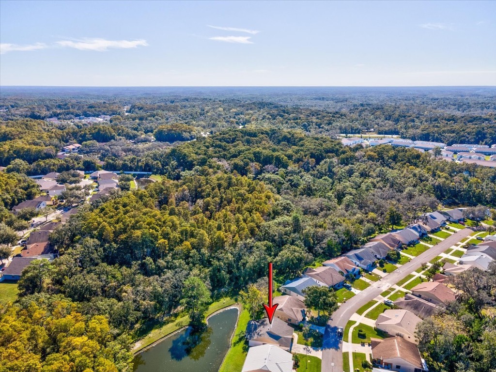 11636 Aspenwood Drive New Port Richey FL 34654 W7880208 image36